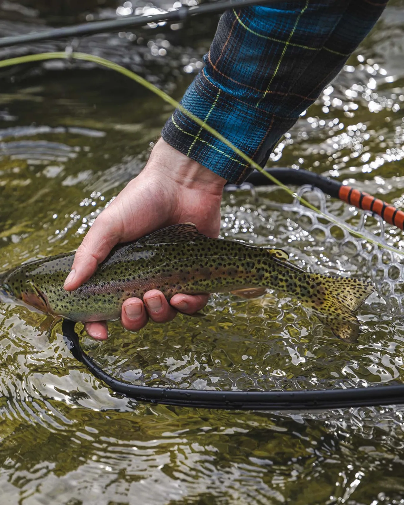 Sale Daymaker Landing Net -Small Women River|River