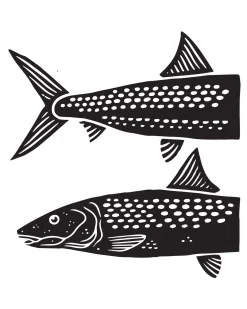 Clearance Limited Edition - Abaco Glades Hoody Hoodies|Long Sleeves