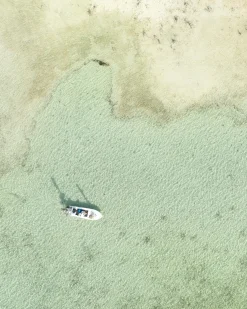 Clearance Limited Edition - Abaco Glades Hoody Hoodies|Long Sleeves